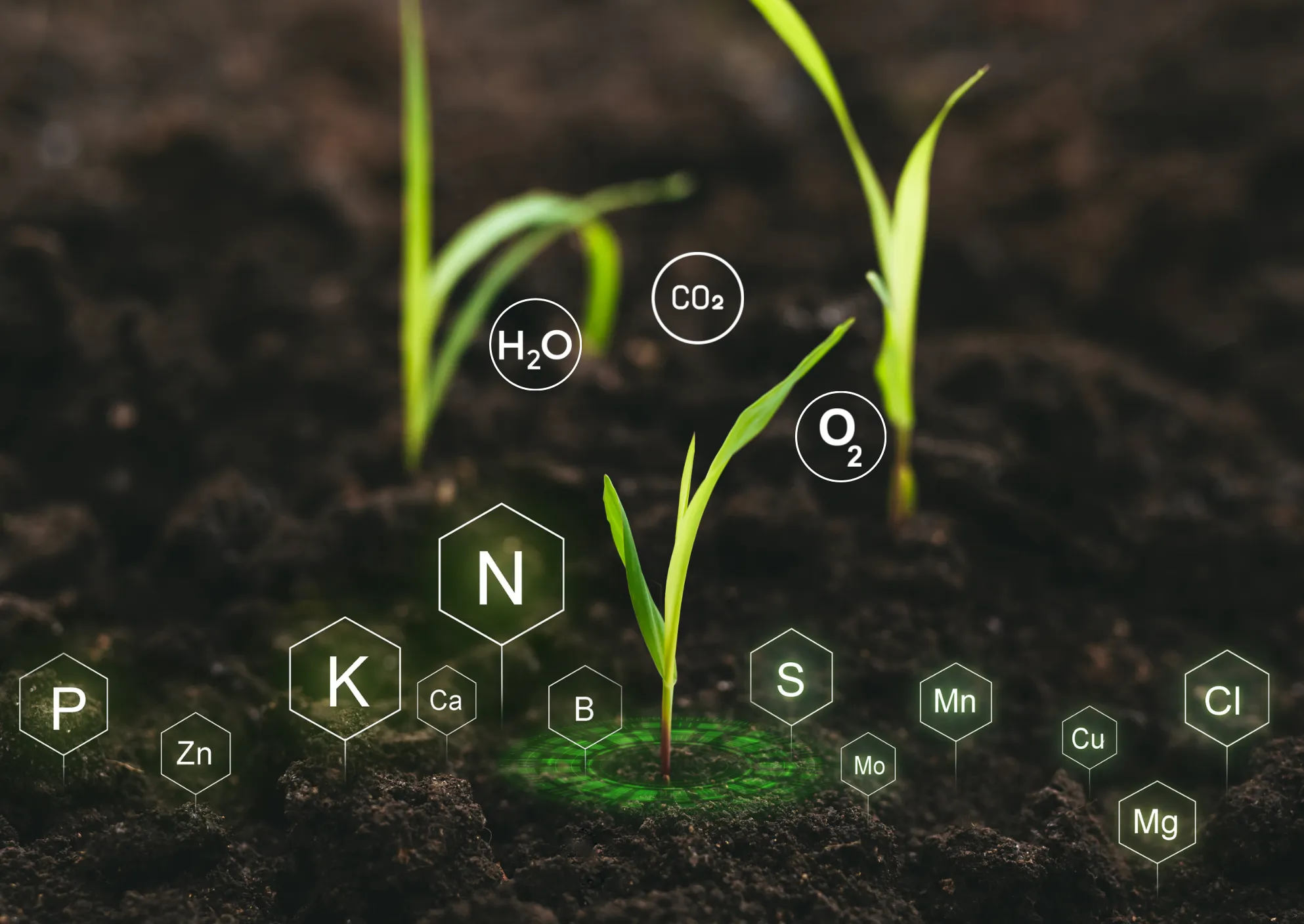 Agriculture
