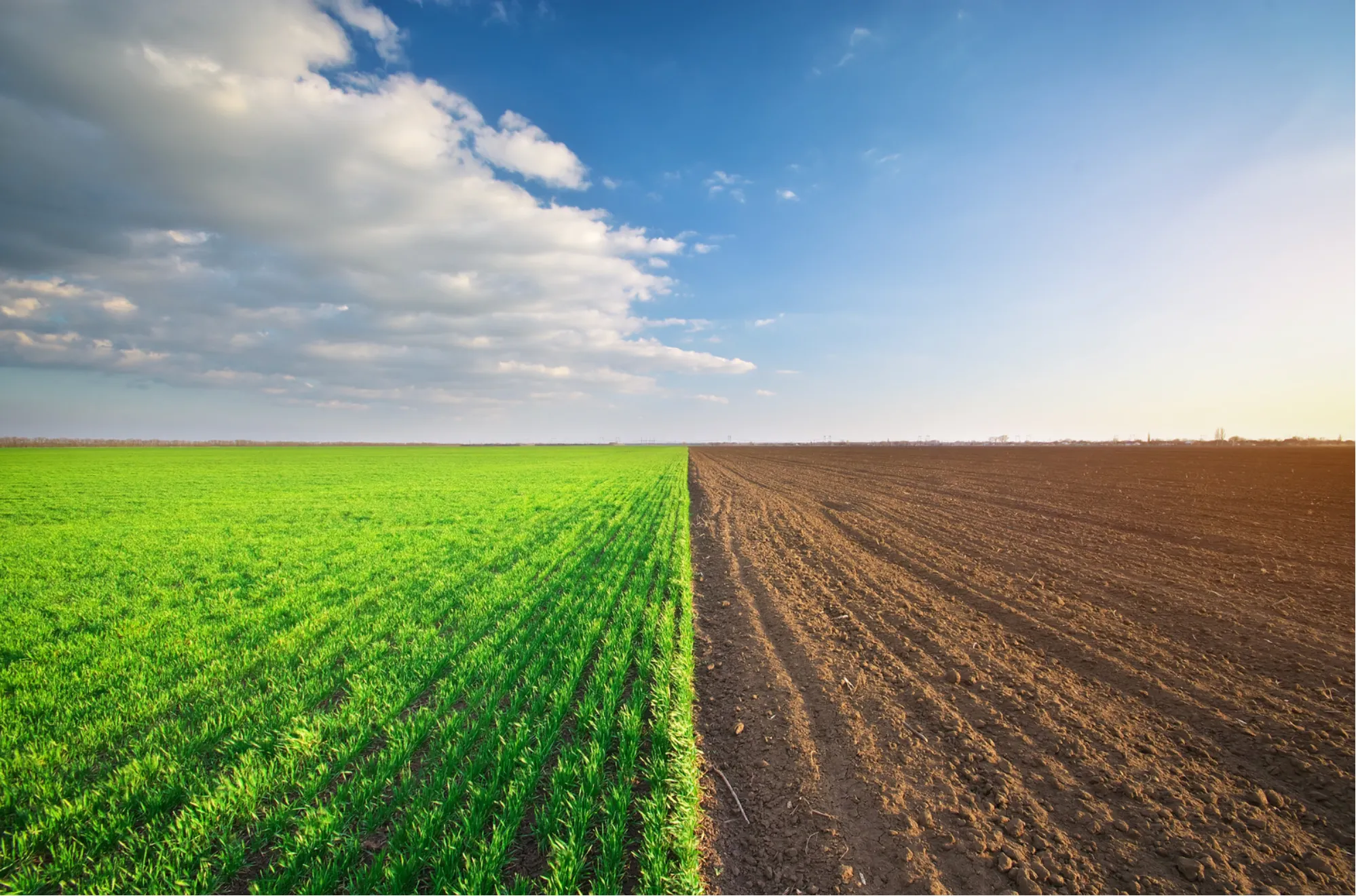 Land Rehabilitation